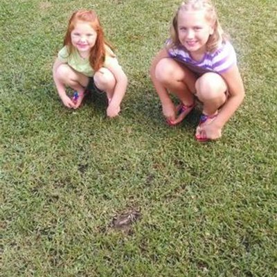 Profile Picture of Jason Harvison (@fbf936d62c3541a) on Twitter