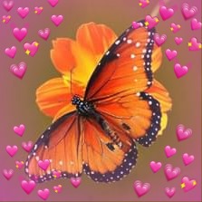 Profile Picture of Christa Downs (@christa.downs.1) on Facebook