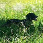 Profile Picture of Peter Burkett (@peterburkett) on Instagram