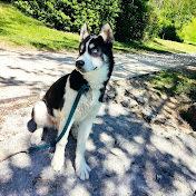 Profile Picture of Joseph Flores (@josephflores5996) on Youtube