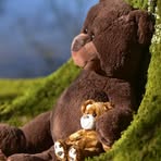 Profile Picture of Teesta Ughade (@teesta.ughade) on Facebook