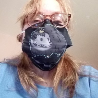 Profile Picture of Who Was That Masked Libby? (@LibbyAnn_13) on Twitter