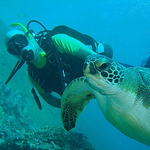 Profile Picture of João Carlos Figueiredo (@jota diver) on Flickr