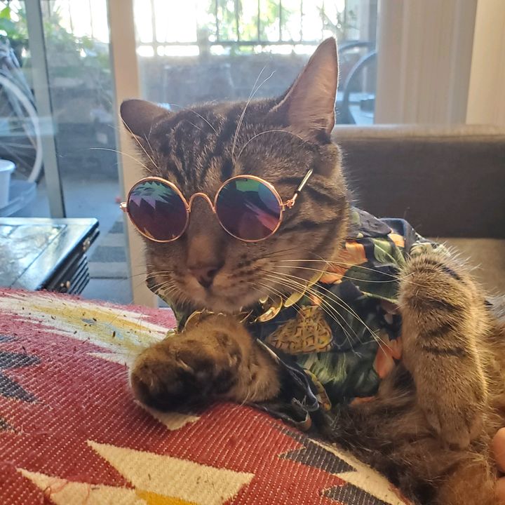 Profile Picture of Joshua Palacios (@@lubenicastanica) on Tiktok