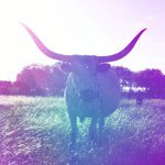 Profile Picture of Marc Montoya (@billysurface) on Instagram