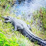 Profile Picture of john sawyer (@johnsawyer77) on Instagram