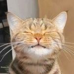 Profile Picture of Aryana Verwey (@aryana.verweyy) on Instagram