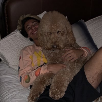 Profile Picture of Apollo ☄️ 🛸 (@AntonettiAndrew) on Twitter