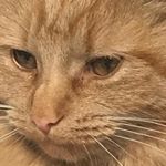 Profile Picture of Peter (@peter_carter42069) on Instagram