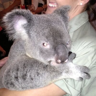 Profile Picture of Kevin Aherne (@AherneKevin) on Twitter