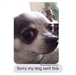 Profile Picture of Felix Arce (@arce2362) on Instagram