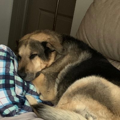 Profile Picture of Jennifer Kirsh (@KirshJennifer) on Twitter