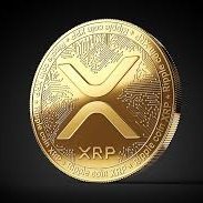 Profile Picture of True_XRP (@ChrisTrues) on Twitter