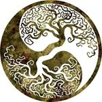 Profile Picture of Damien Nash (@littleforestterrariums) on Instagram