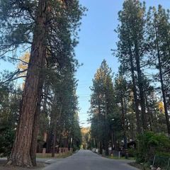 Profile Picture of John Hatcher (@john.hatcher) on Tiktok