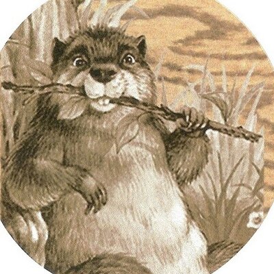 Profile Picture of Scott Needham (@WoodchuckFloor) on Twitter