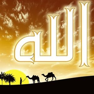 Reham Ali - Myspace Profile Picture of Reham Ali (@reham.ali) on Myspace