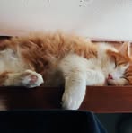 Darcy Bright - Facebook Profile Picture of Darcy Bright (@darcy.bright.3) on Facebook