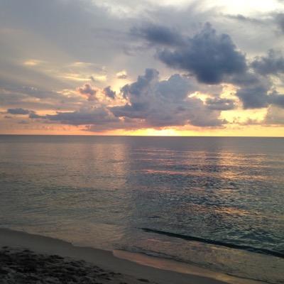 Profile Picture of Noel Paulino (@noelpaulino529) on Twitter