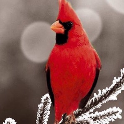 Profile Picture of Troy Hines (@hangnup) on Twitter