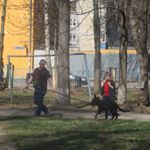 Profile Picture of sylvia howell (@howell8997bk) on Instagram