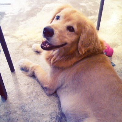 Profile Picture of Harry Tsai (@HarryTsai12) on Twitter