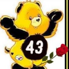 Profile Picture of Sharon (@FanofSteelers43) on Twitter