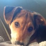 Profile Picture of Alan Trinkala (@therealalan24) on Instagram