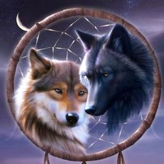Profile Picture of Michel Baum (@michel.baum) on Tiktok