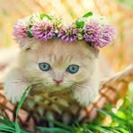 Profile Picture of Nancy Mark (@Nancy-Mark) on Facebook