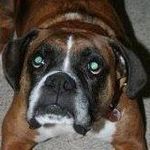 Jacob Buhl - Instagram Profile Picture of Jacob Buhl (@buhljacob) on Instagram