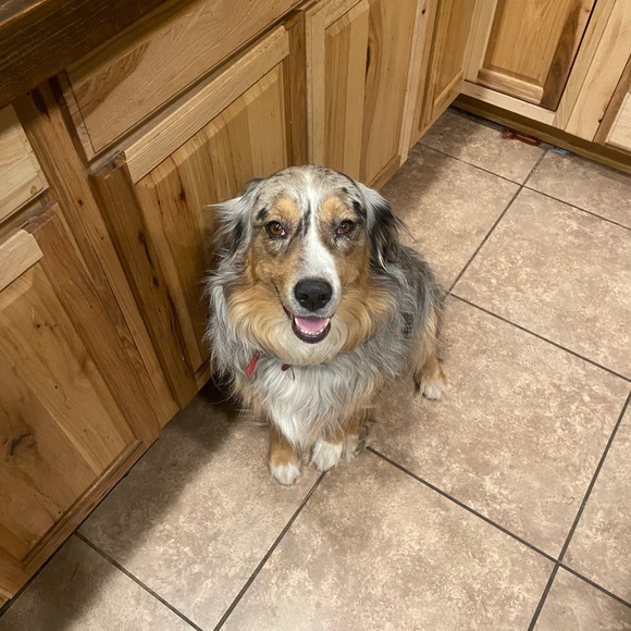 Profile Picture of Rebecca Tomerlin (@tomerlinrebecca) on Poshmark