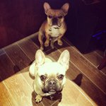 Profile Picture of Rose Chaney (@hungatact) on Instagram