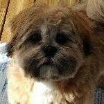 Profile Picture of Doris Löfstrand (@dorislofstrand) on Instagram