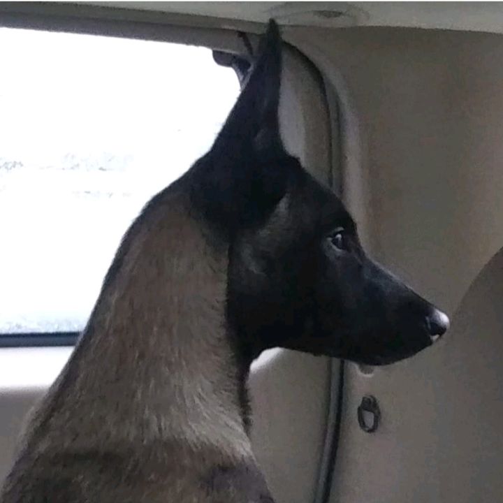 Profile Picture of Lori Beard (@lori.beard) on Tiktok