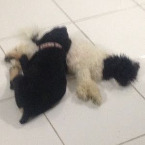 Profile Picture of Shelly (@shellytalbot0) on Tiktok