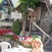 Profile Picture of Rose Hearn (@rosehearn) on Pinterest