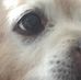 Profile Picture of Darrell Philpott (@darrell.philpott.3) on Facebook