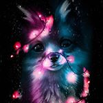 Profile Picture of A L L I S O N  J A C O B (@allison_jacob09) on Instagram