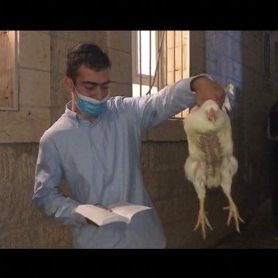 Zak Silverblatt - Twitter Profile Picture of Zak Silverblatt (@SilverblattZak) on Twitter