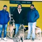 Profile Picture of   Vicky Singh... (@vickysingh6975) on Tiktok