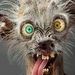 Profile Picture of Chris Hamburg Sr. (@hamburgcsr) on Pinterest