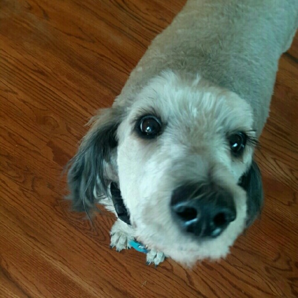 Profile Picture of Halle Lodahl (@ha_lo1) on Poshmark