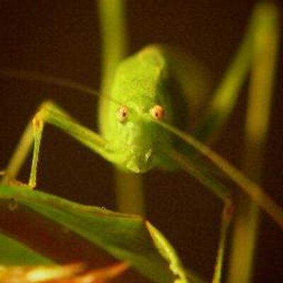 Profile Picture of Nicola Zagari (@Nic_Zagari) on Twitter