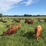 Profile Picture of Jeff Goodwin (@noble_landstewardship) on Instagram