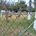 Profile Picture of Olivia Alonso (@olivia.alonso.507679) on Facebook