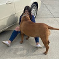 Profile Picture of Sarah Shingleton (@sarah-shingleton-2) on Quora