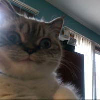 Profile Picture of Jillian Dees (@jillian-dees-1) on Quora