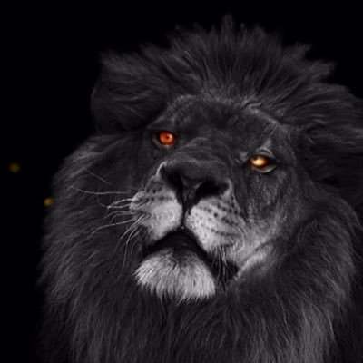 Profile Picture of Jonathan Coons (@JonathanCoons4) on Twitter