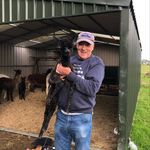 Profile Picture of kevin.phelan (@kevin.phelan2) on Instagram